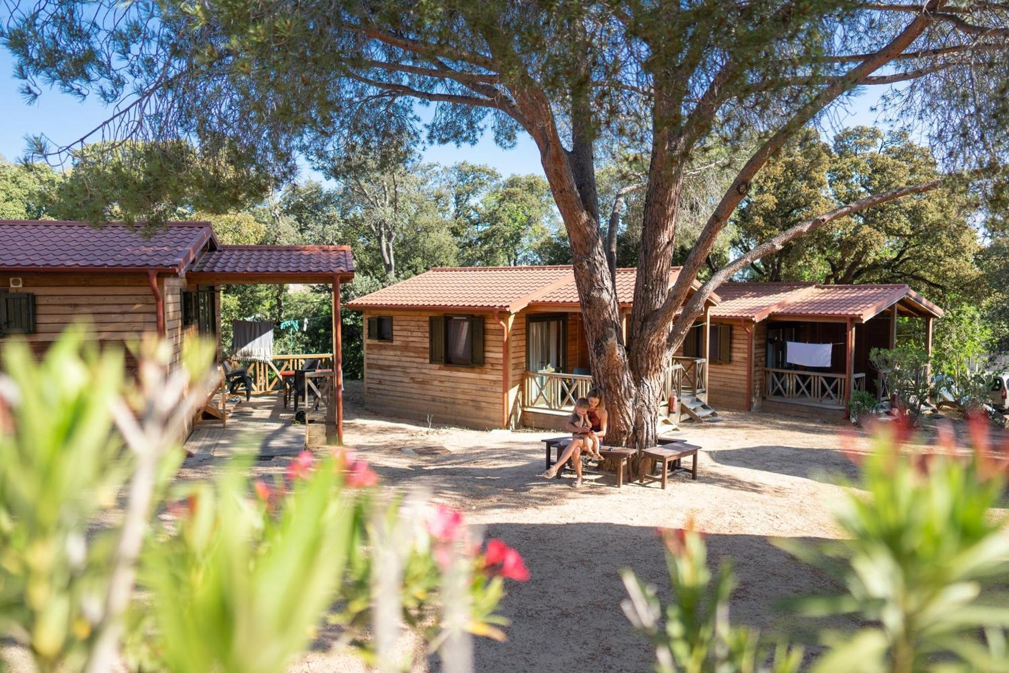 Half-Chalet (1 room) with terrace